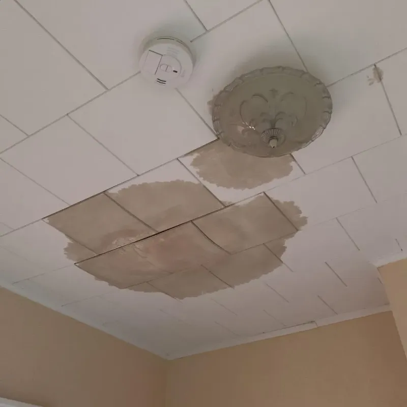 Ceiling Water Damage Repair in Village Green, NY