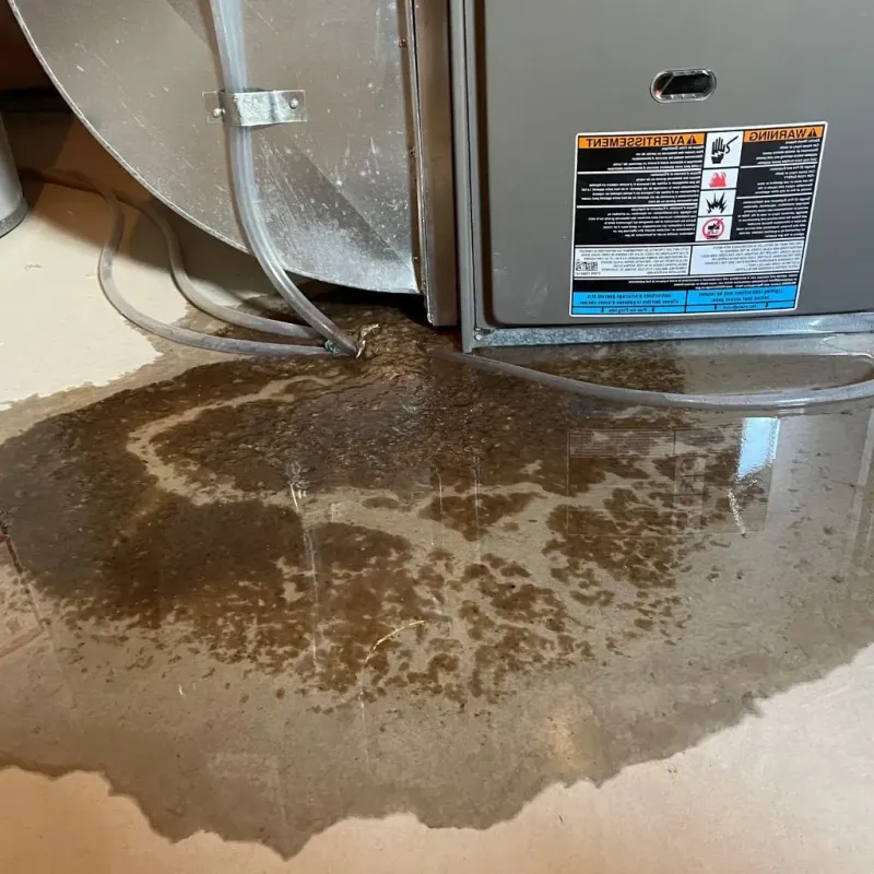 Pipe Burst and Leak Restoration in Village Green, NY